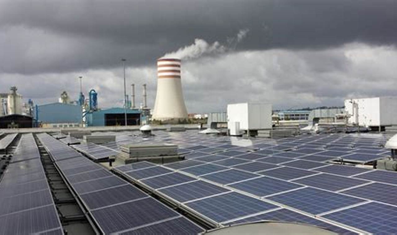 Is Petroleum Renewable? Exploring Energy Sources Renewable Energy Solutions for a Sustainable Future | Clean & Green Power Is Petroleum Renewable? Exploring Energy Sources | Renewable Energy Solutions for a Sustainable Future | Clean & Green Power