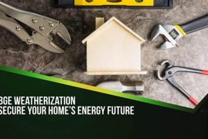 BGE Renewable Energy: A Clean Power Guide | Renewable Energy Solutions for a Sustainable Future | Clean & Green Power