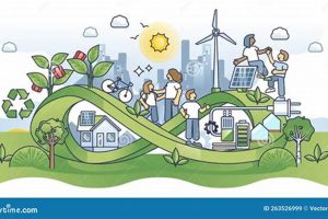 Harnessing Reusable Energy: A Sustainable Future | Renewable Energy Solutions for a Sustainable Future | Clean & Green Power