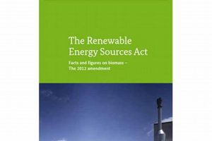 Germany's Renewable Energy Act (EEG) Guide | Renewable Energy Solutions for a Sustainable Future | Clean & Green Power