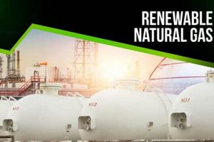 Is Natural Gas Renewable? A Clean Energy Guide Renewable Energy Solutions for a Sustainable Future | Clean & Green Power Is Natural Gas Renewable? A Clean Energy Guide | Renewable Energy Solutions for a Sustainable Future | Clean & Green Power