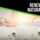 Is Natural Gas Renewable? A Clean Energy Guide | Renewable Energy Solutions for a Sustainable Future | Clean & Green Power