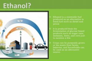 The Ethanol Question: Is Ethanol a Renewable Energy Source? | Renewable Energy Solutions for a Sustainable Future | Clean & Green Power