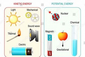 Clean Energy Is Our Future | Renewable Energy Solutions for a Sustainable Future | Clean & Green Power