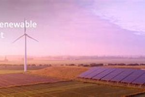 CNBC Renewable Energy: Investing in the Future Renewable Energy Solutions for a Sustainable Future | Clean & Green Power CNBC Renewable Energy: Investing in the Future | Renewable Energy Solutions for a Sustainable Future | Clean & Green Power