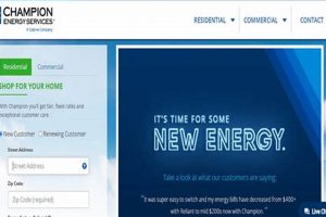 Renewable Energy Providers For Business Fort Worth | Renewable Energy Solutions for a Sustainable Future | Clean & Green Power