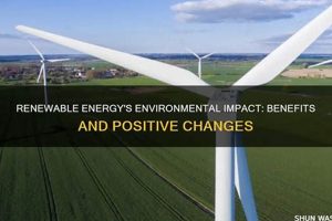 How Much Does Renewable Energy Help The Environment Renewable Energy Solutions for a Sustainable Future | Clean & Green Power How Much Does Renewable Energy Help The Environment | Renewable Energy Solutions for a Sustainable Future | Clean & Green Power