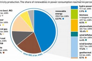How Much Has Germany Spent On Renewable Energy | Renewable Energy Solutions for a Sustainable Future | Clean & Green Power