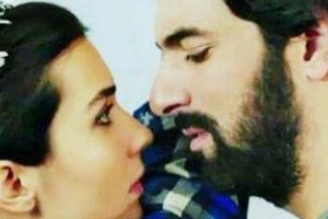 Harness Solar Power: Clean Energy Now | Renewable Energy Solutions for a Sustainable Future | Clean & Green Power