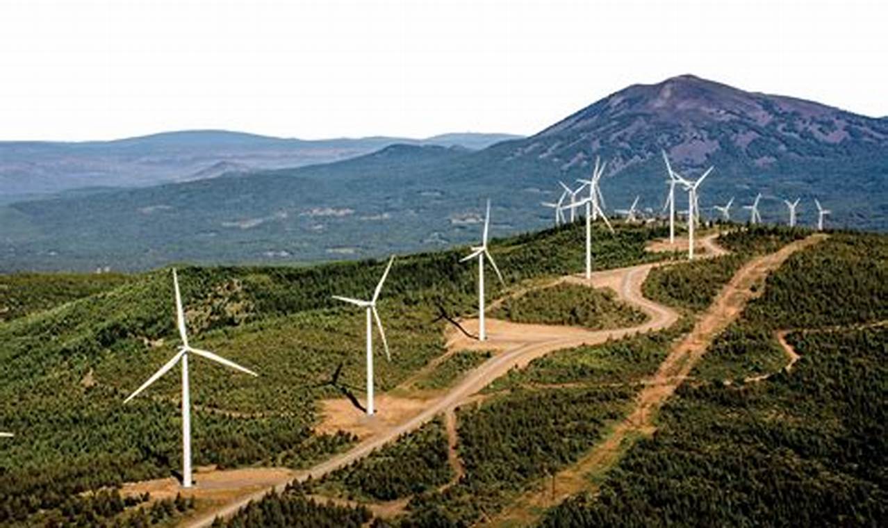 How Can Renewable Energy Help Climate Change | Renewable Energy Solutions for a Sustainable Future | Clean & Green Power