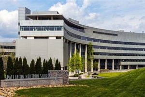 Top Nat Labs for Renewable Energy Research | Renewable Energy Solutions for a Sustainable Future | Clean & Green Power