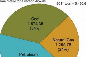 Does Renewable Energy Emit CO2? The Truth About Renewables | Renewable Energy Solutions for a Sustainable Future | Clean & Green Power