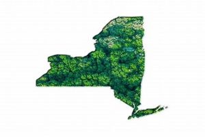 Powering NY: Renewable Energy Guide | Renewable Energy Solutions for a Sustainable Future | Clean & Green Power