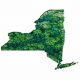 Powering NY: Renewable Energy Guide | Renewable Energy Solutions for a Sustainable Future | Clean & Green Power