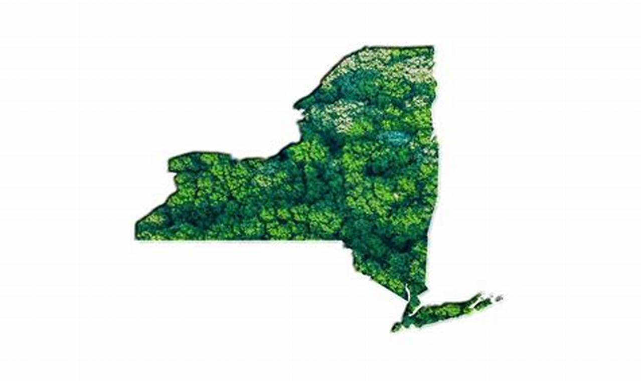Powering NY: Renewable Energy Guide | Renewable Energy Solutions for a Sustainable Future | Clean & Green Power