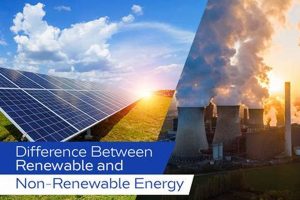 Is Solar Energy Renewable or Non-Renewable? The Facts | Renewable Energy Solutions for a Sustainable Future | Clean & Green Power