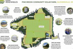 Discover Eden: Renewable Energy Solutions | Renewable Energy Solutions for a Sustainable Future | Clean & Green Power