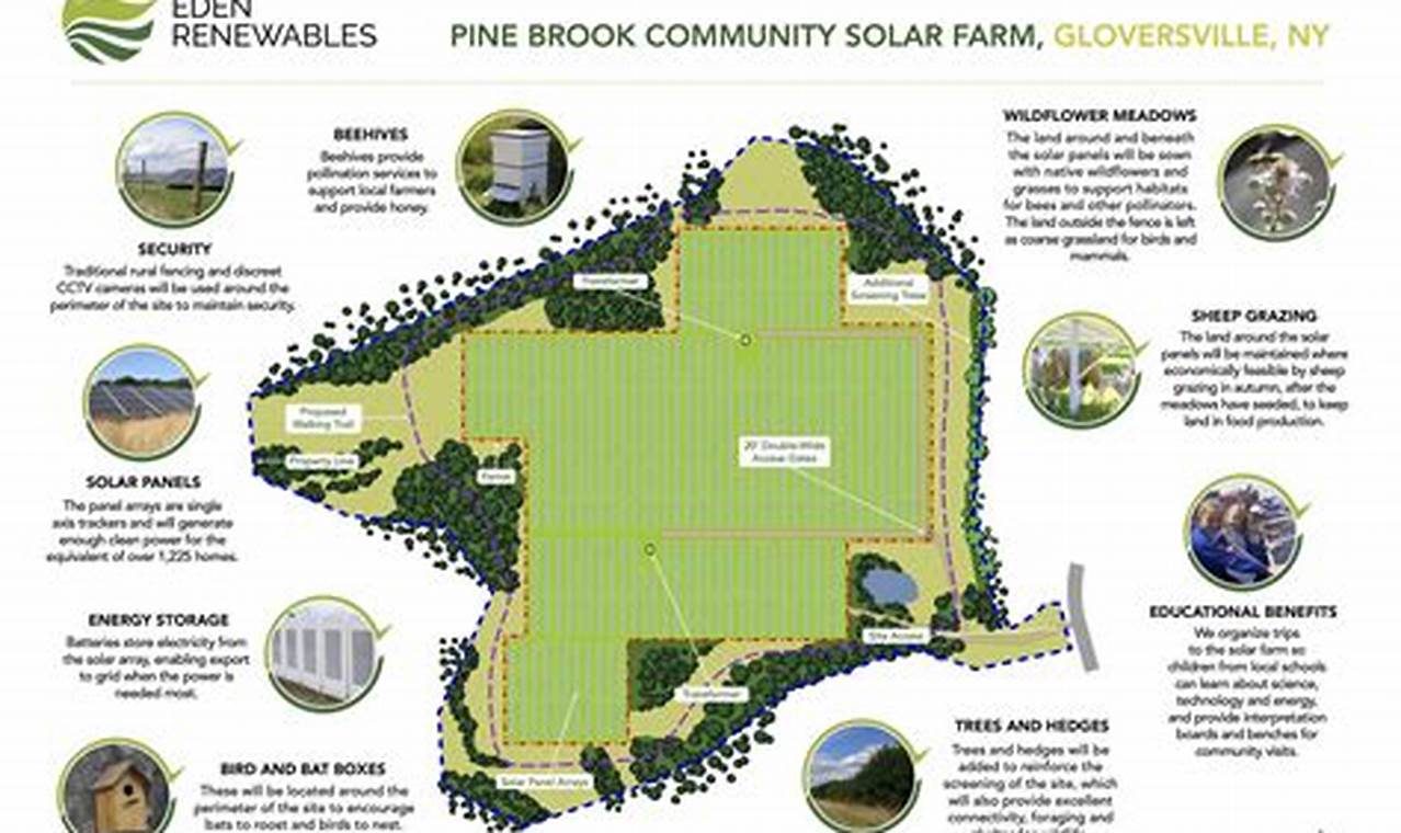 Discover Eden: Renewable Energy Solutions | Renewable Energy Solutions for a Sustainable Future | Clean & Green Power