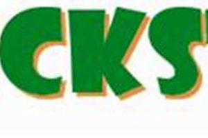 Kids Guide to Renewable Energy (Ducksters) | Renewable Energy Solutions for a Sustainable Future | Clean & Green Power