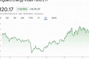 Top Renewable Energy ETF Vanguard Choices | Renewable Energy Solutions for a Sustainable Future | Clean & Green Power