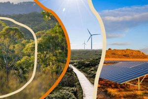 Renewable Energy Grants 2024 | Renewable Energy Solutions for a Sustainable Future | Clean & Green Power