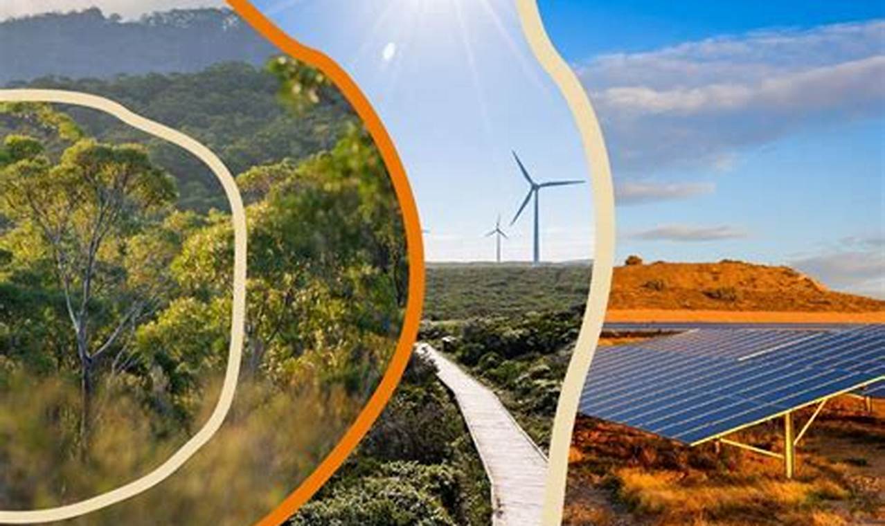 Renewable Energy Grants 2024 | Renewable Energy Solutions for a Sustainable Future | Clean & Green Power