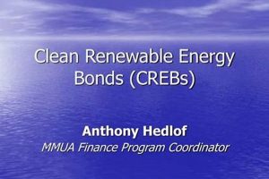 Invest in Green: Clean Renewable Energy Bonds Guide | Renewable Energy Solutions for a Sustainable Future | Clean & Green Power