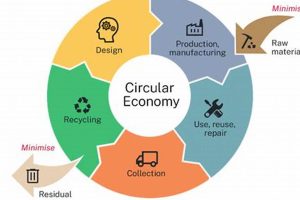 Powering a Circular Economy: Renewable Energy's Role | Renewable Energy Solutions for a Sustainable Future | Clean & Green Power