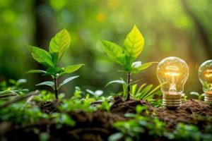 Harnessing Renewable Plant Power for a Sustainable Future | Renewable Energy Solutions for a Sustainable Future | Clean & Green Power
