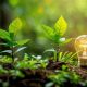 Harnessing Renewable Plant Power for a Sustainable Future | Renewable Energy Solutions for a Sustainable Future | Clean & Green Power