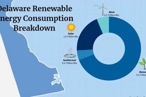 Delaware Renewable Energy Rates: A 2024 Guide Renewable Energy Solutions for a Sustainable Future | Clean & Green Power Delaware Renewable Energy Rates: A 2024 Guide | Renewable Energy Solutions for a Sustainable Future | Clean & Green Power