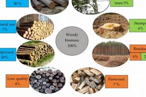 Is Wood Energy Renewable Renewable Energy Solutions for a Sustainable Future | Clean & Green Power Is Wood Energy Renewable | Renewable Energy Solutions for a Sustainable Future | Clean & Green Power