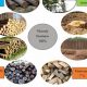 Is Wood Energy Renewable | Renewable Energy Solutions for a Sustainable Future | Clean & Green Power