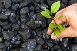 Is Coal Renewable? The Truth About Coal Energy | Renewable Energy Solutions for a Sustainable Future | Clean & Green Power