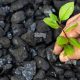 Is Coal Renewable? The Truth About Coal Energy | Renewable Energy Solutions for a Sustainable Future | Clean & Green Power