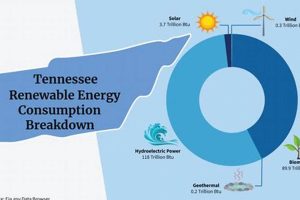 Guide to Tennessee Renewable Energy Options | Renewable Energy Solutions for a Sustainable Future | Clean & Green Power