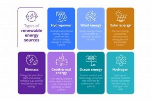 Top 6 Renewable Energy Sources &amp; Types | Renewable Energy Solutions for a Sustainable Future | Clean & Green Power