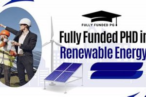 Top Renewable Energy PhD Programs Guide | Renewable Energy Solutions for a Sustainable Future | Clean & Green Power